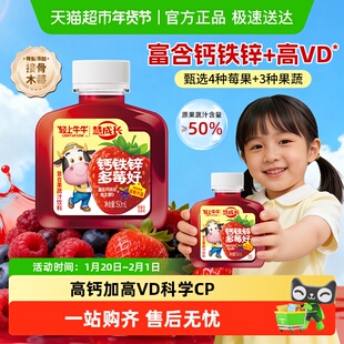 椰泰轻上钙铁锌多莓好果汁饮料高VD钙铁锌同补儿童慧成长早餐饮品