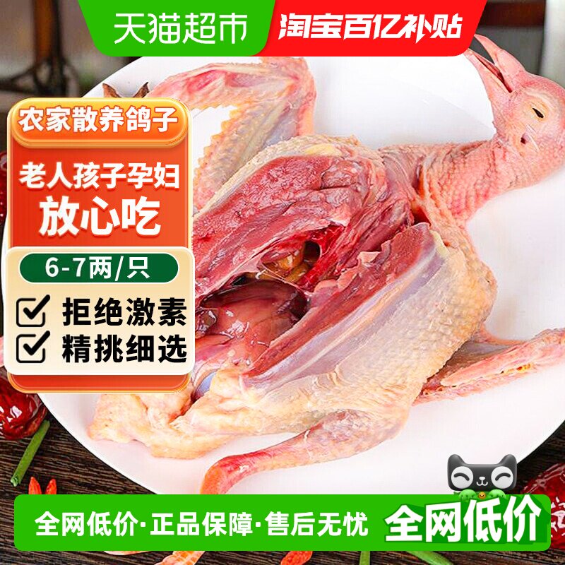 【超市推荐】乳鸽农家散养无激素图片