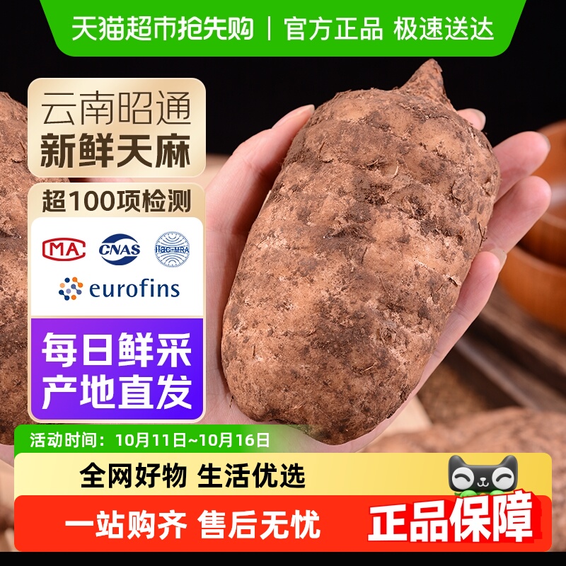 正宗云南昭通小草坝仿野生乌天麻现挖现发特级新鲜天麻
