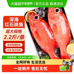 海仙部落冰岛红石斑鱼鲜活冷冻新鲜超大条红鱼龙胆富贵鱼海鲜