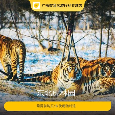 [东北虎林园-大门票+惊险观光车]需提前1小时购买