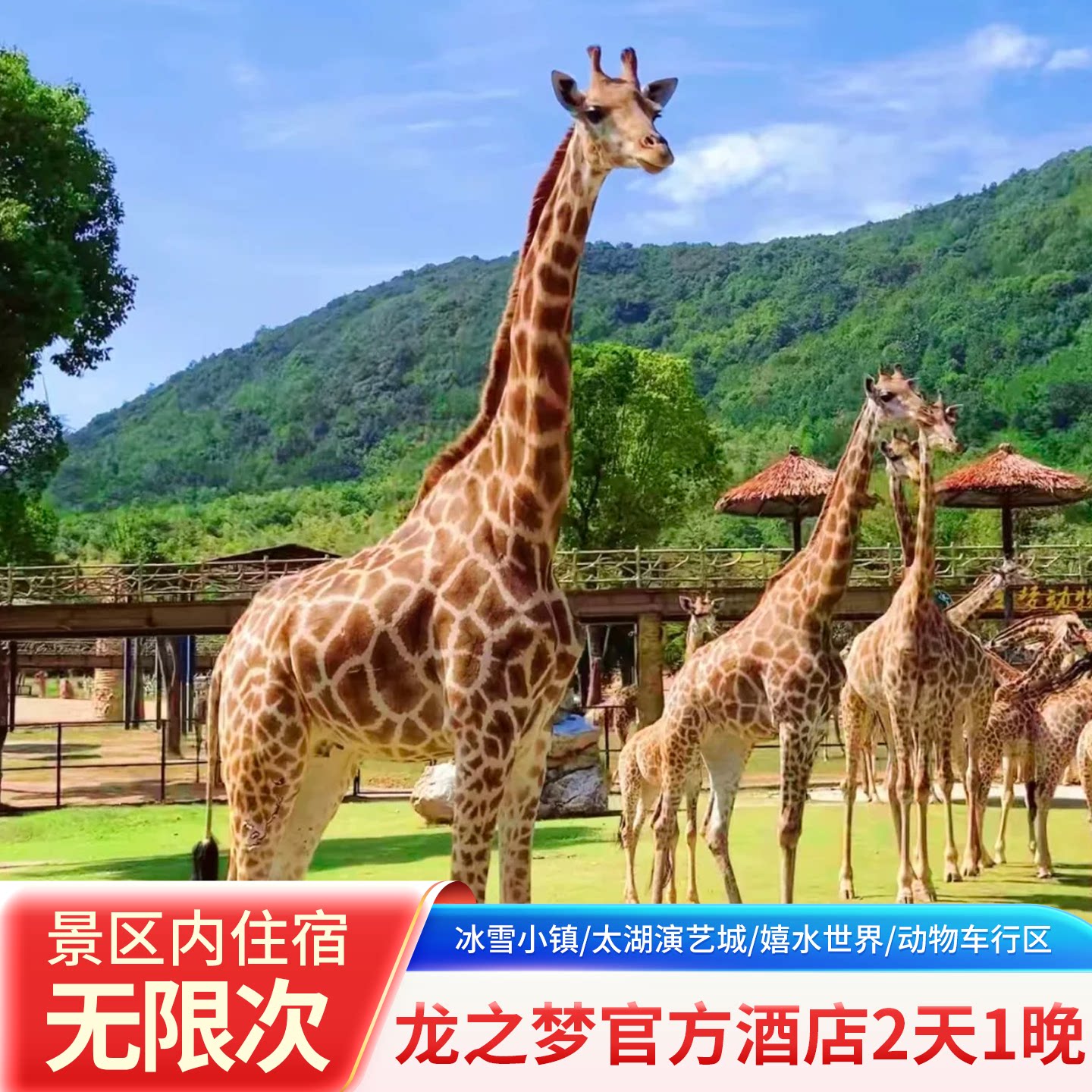 龙之梦酒店+早餐+景点