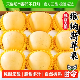 黄金维纳斯苹果山东烟台核心产区纯甜无酸奶油富士苹果整箱