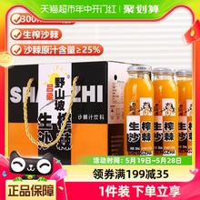 吕梁 野山坡 沙棘汁生榨果汁饮料饮品 整箱送礼盒装300ml*12瓶