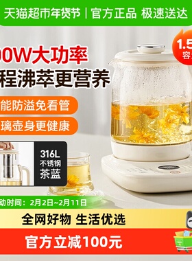 九阳防溢沸萃防糊恒温烧水壶316L不锈钢茶篮0胶水煮茶器15WY2J