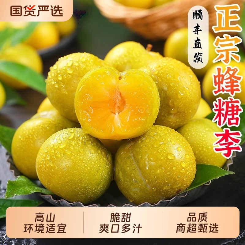 四川正宗蜂糖李3/5斤新鲜水果顺丰鲜果当季整箱蜂蜜脱骨李子脆甜