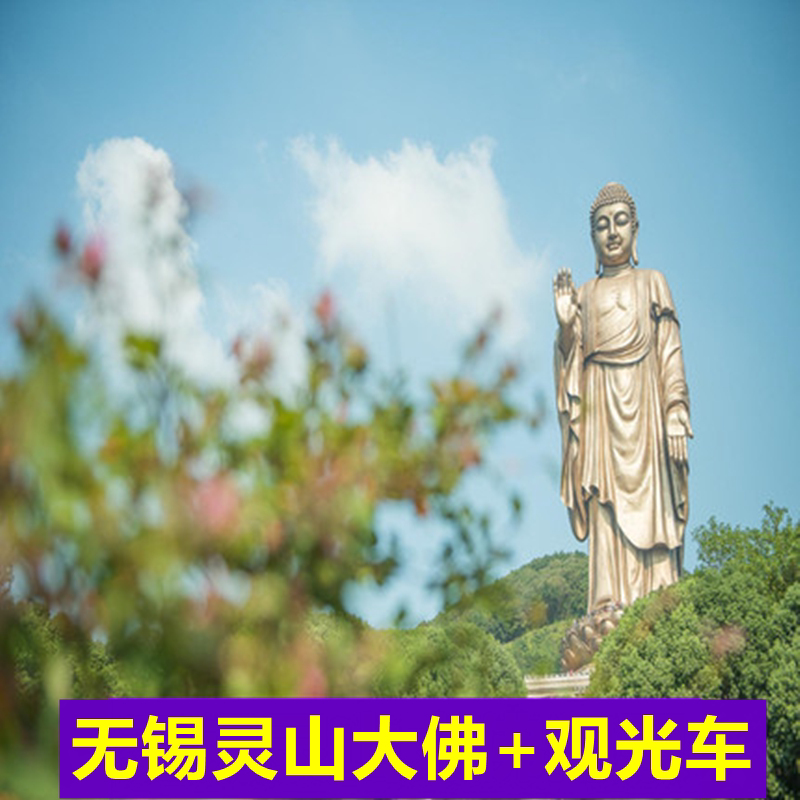 [无锡灵山胜境（灵山大佛）-大门票+电瓶车]无锡灵山大佛门票+观光电瓶车