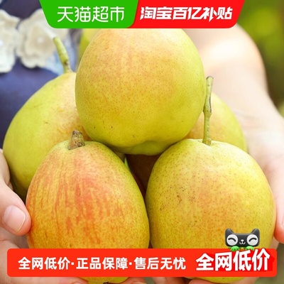 库尔勒香梨香梨全母梨