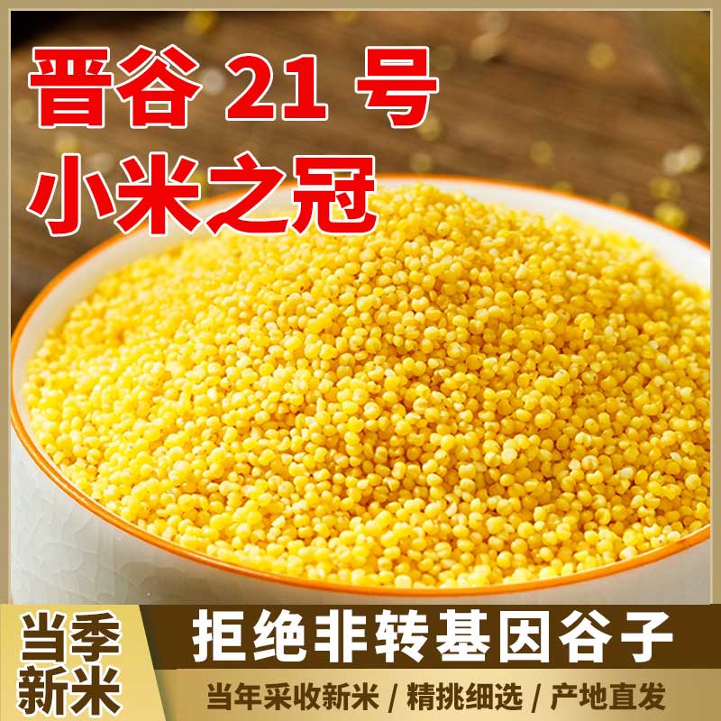 黄小米晋谷21号山西新米农家糯小米粥粗粮早餐煲粥米油丰厚营养高