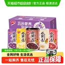 整箱速食八宝粥送礼礼物佳品 银鹭好粥道五色营养混合装