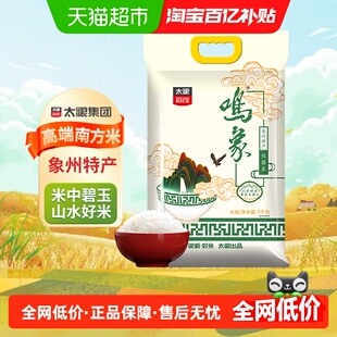 太粮鸣象丝苗米5kg广西香软米细腻软香优质家用家庭米大米