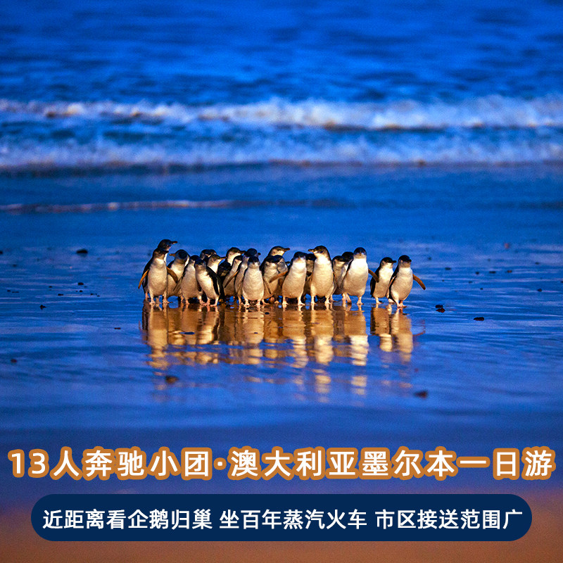 1人成团，无购物，坐百年蒸汽火车，升级plus看台近距离看企鹅归巢 穿越时光的自然之旅，已成为世界上保存最完好的蒸汽铁路之一 一座被南太平洋温柔环抱的梦幻之地，一个让时间变慢，让心灵治愈的地方 有一排如糖果盒般梦幻的彩虹小屋，是凝固的浪花，而海是永不褪色的画布