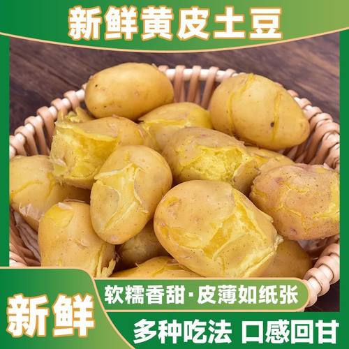 新鲜沙面土豆3/5/9斤应季蔬菜黄心土豆洋芋粉糯高山土豆