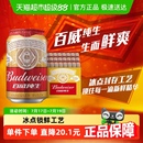 百威纯生啤酒330ml 24听经典 易拉罐装 拉格8度啤酒整箱装