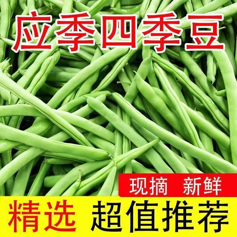 新鲜直达，晨摘午发