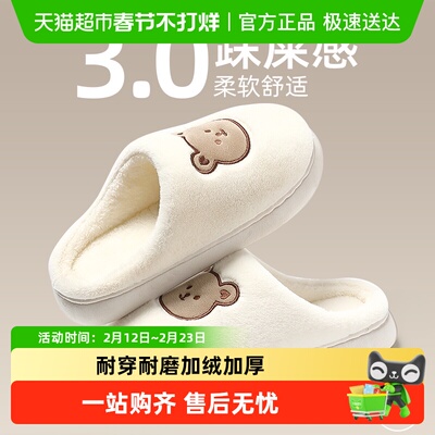 FZT棉拖女士冬季室内2024棉拖鞋