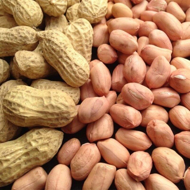 精选河南南阳白沙花生米无壳花生新鲜干货花生米批发价可生吃