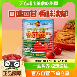 新疆半球红番茄酱罐头850g意面酱披萨炒菜火锅底料番茄膏 包邮