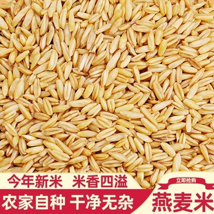 燕麦米新米当季燕麦仁农家自裸全胚芽燕麦粒五谷杂粮粗粮饭
