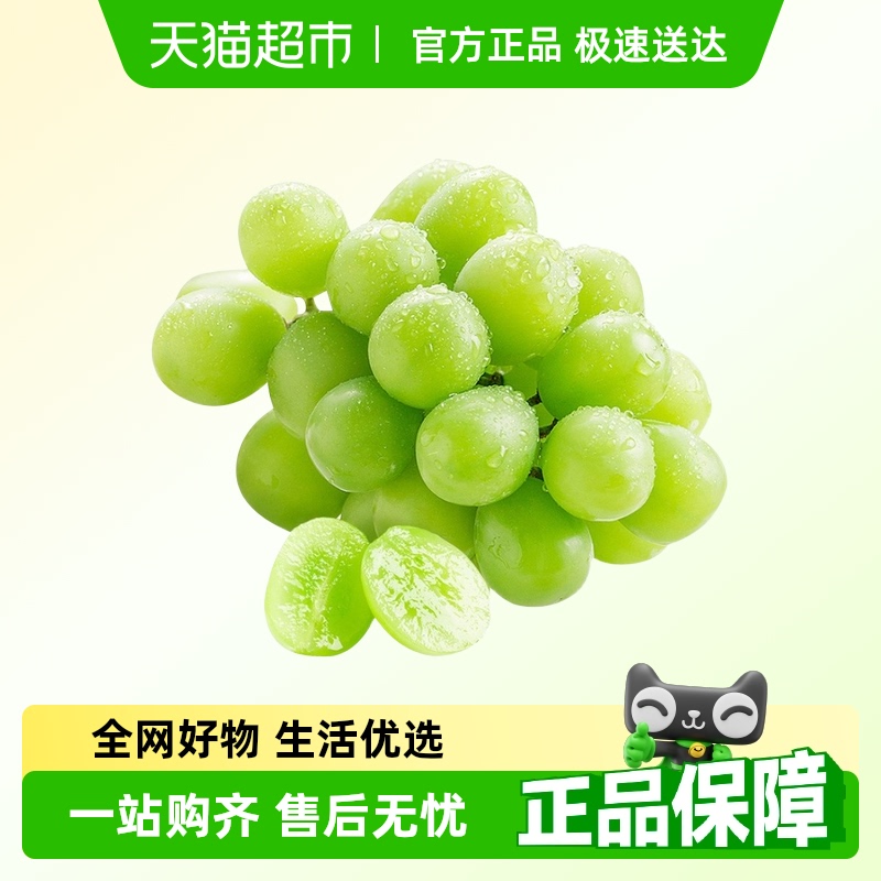 当季脆甜提子阳光玫瑰