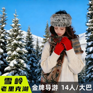长白山雪岭一日游东北旅游小团含门票导游上门接送去老里克湖跟团