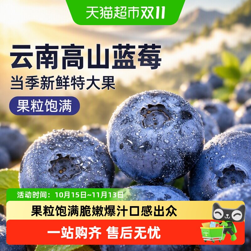 云南高山蓝莓应当季新鲜水果特大果礼盒整箱京运达怡佳颗沃