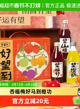 好望水果汁气泡水饮料好望到杏福梅好马到橙功新春礼盒300ml*8