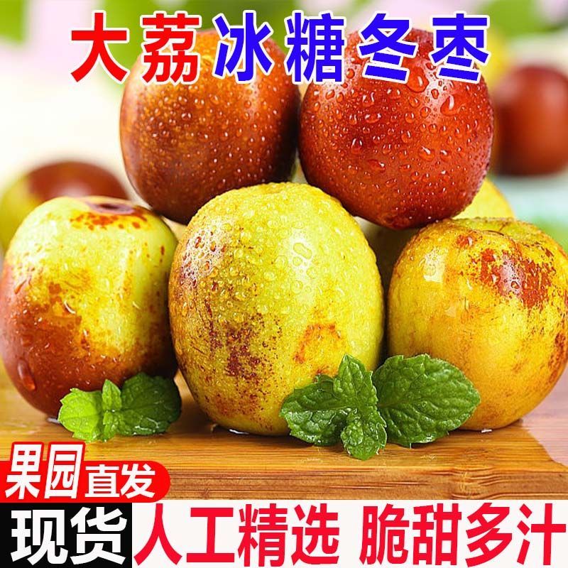 陕西大荔冬枣5斤新鲜大枣当季整箱水果枣子青枣脆枣冰糖鲜枣应季