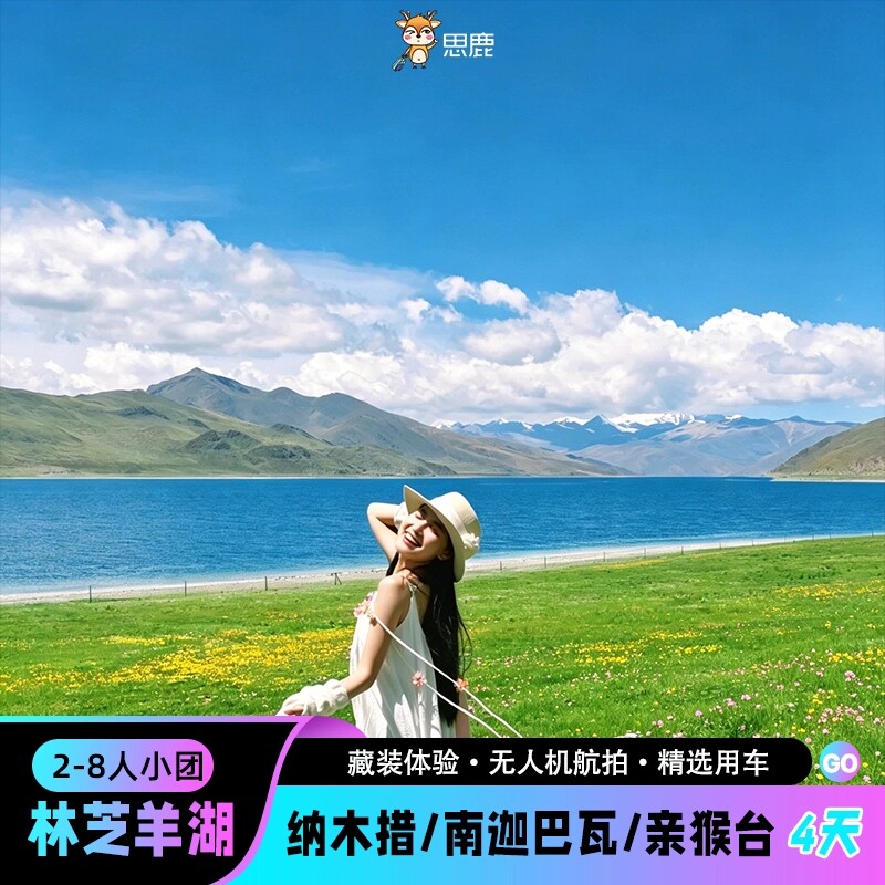西藏4日游林芝羊湖纳木措南迦巴瓦达谷峡谷4天3晚跟团游 - 实物图