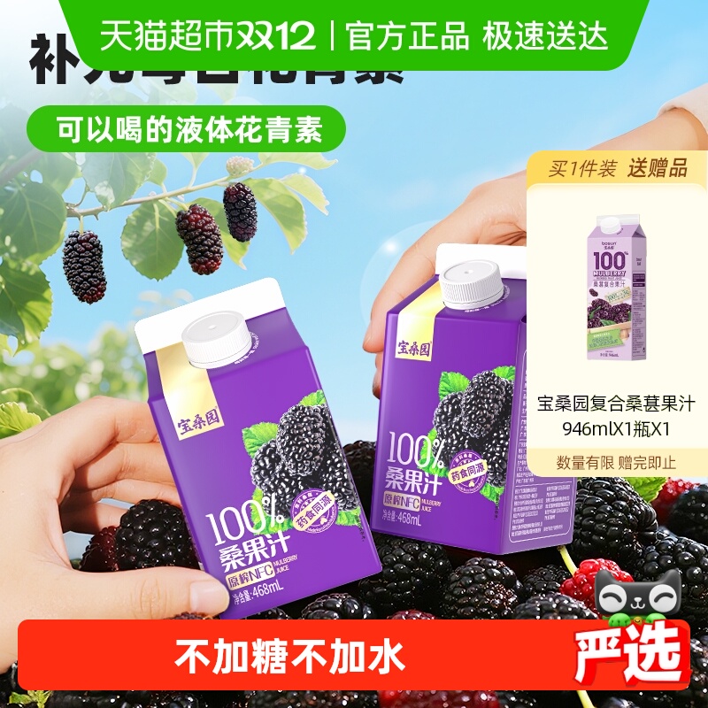 宝桑园100%NFC桑葚汁健康礼盒