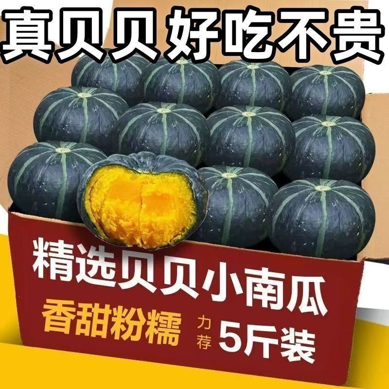 真贝贝南瓜小南瓜板栗味辅食南瓜粉糯香甜1/3/4.5/9斤批发价