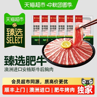 猫超臻选澳洲安格斯肥牛片牛肉卷