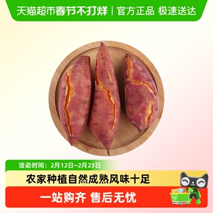 福建漳州六鳌红心蜜薯红薯地瓜粉糯香甜