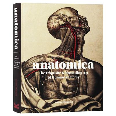 Anatomica 解剖学 人体解剖学精美艺术 医学手稿插画册 探索人体解剖学 Joanna Ebenstein原版