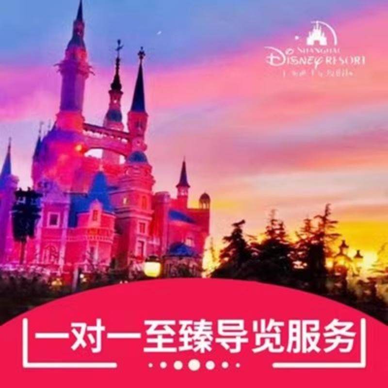 上海迪士尼9小时人工一对一导览【家庭版】迪士尼乐园1对1管家服务