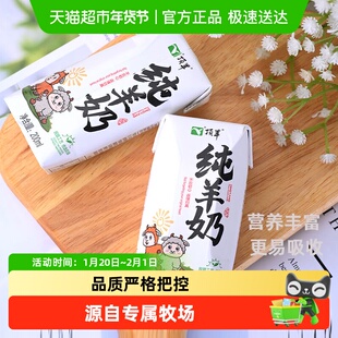 顶羊纯羊奶不添加牛奶乳糖不耐受人群早餐奶儿童孕妇