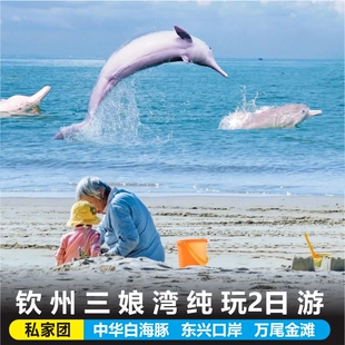 广西钦州防城港万尾金滩三娘湾看海豚2天1晚两日私家团边境小团游