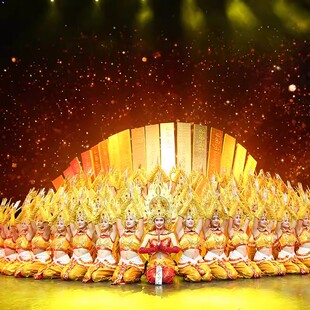 【门票代订】云南西双版纳曼听公园/篝火晚会湄公河之夜预定