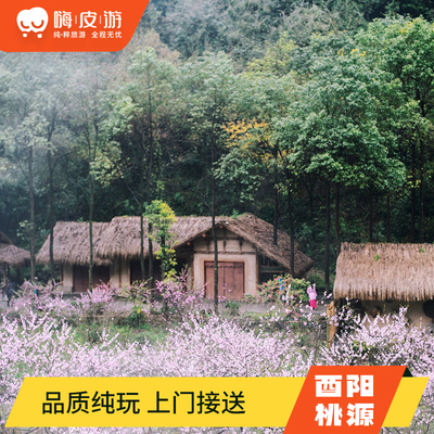 重庆旅游武隆天生三桥地缝乌江画廊桃花源2天1晚品质纯玩跟团游