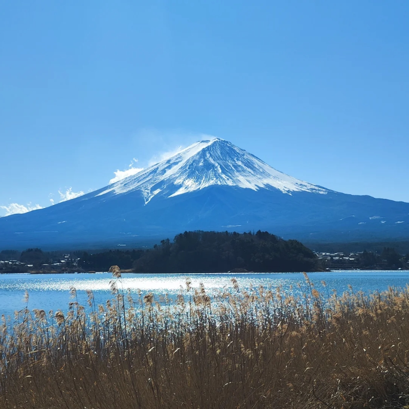富士山双湖观光之旅