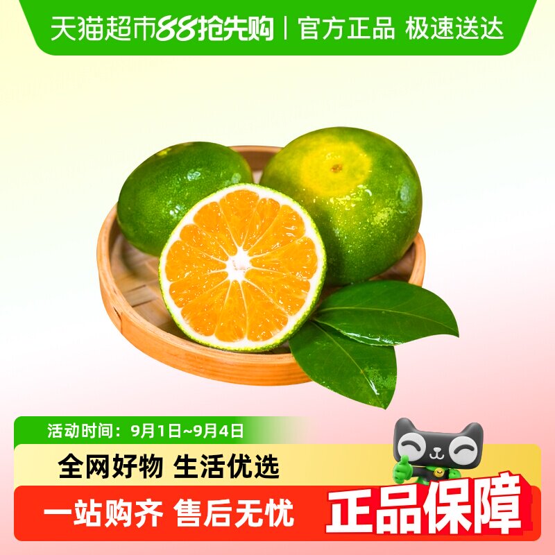 ���ϸ�ɽ�������ʱ�Ƥ�۽����Ƥ���ӵ���ˮ�����������֭