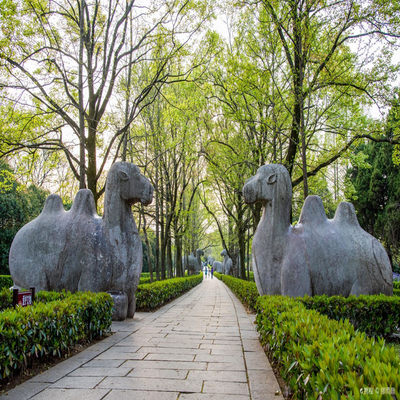 钟山风景区（明孝陵门票）+灵谷景区+美龄宫+音乐台成人票