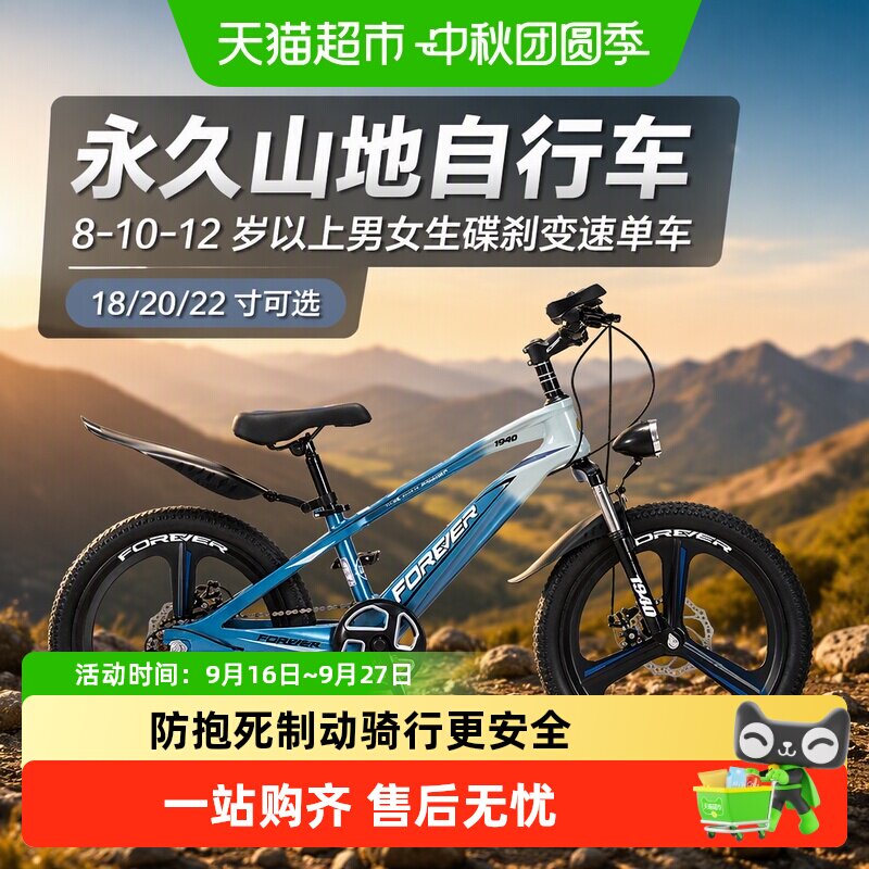 永久山地自行车镁合金车架碟刹图片