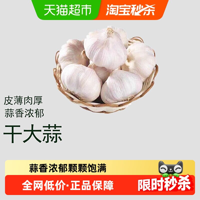 山东大蒜头干蒜多瓣农家干大蒜白皮新鲜大蒜新干蒜蔬菜