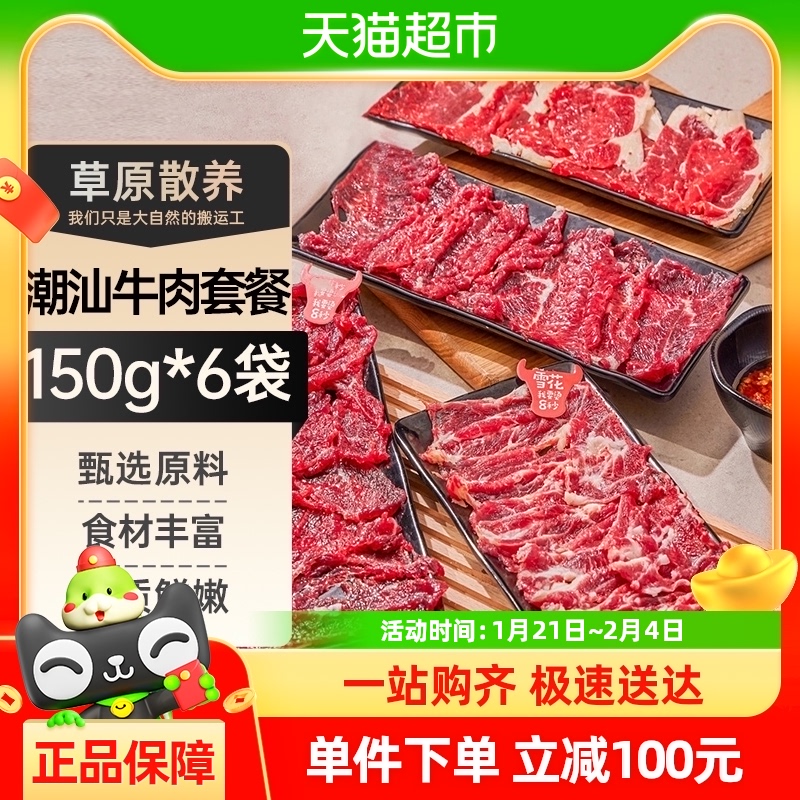 潮汕牛肉火锅组合套餐新鲜嫩牛肉雪花吊龙半成品火锅食材900g