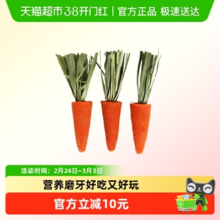 布卡星小仓鼠磨牙棒胡萝卜饼干造景用品可食用玩具金丝熊兔子零食