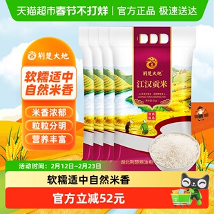 【囤货装】荆楚大地大米新米江汉贡米5kg*4袋真空长粒丝苗米籼米