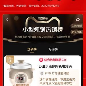 乐筘电炖锅紫砂煲汤锅家用迷你陶瓷炖盅煮粥神器全自动小型炖汤