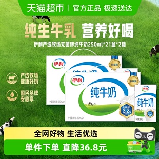 伊利纯牛奶250ml 42盒优质乳蛋白学生营养早餐