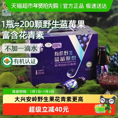 永富有机野生蓝莓原浆